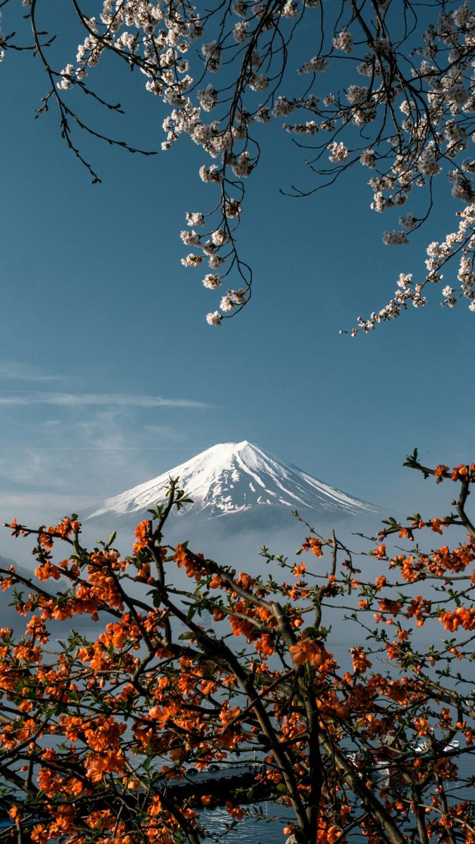 富士河口湖